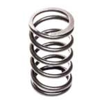 T400752 GP Outer Exhaust Valve Spring