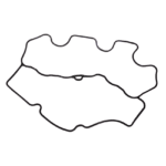 U20996150 GP Rocker Cover Gasket